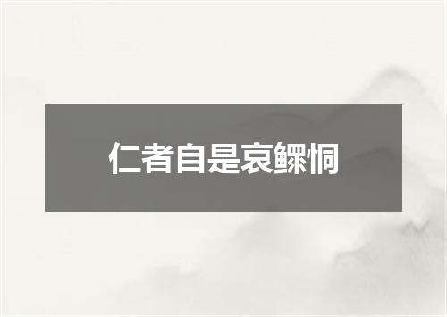 仁者自是哀鳏恫
