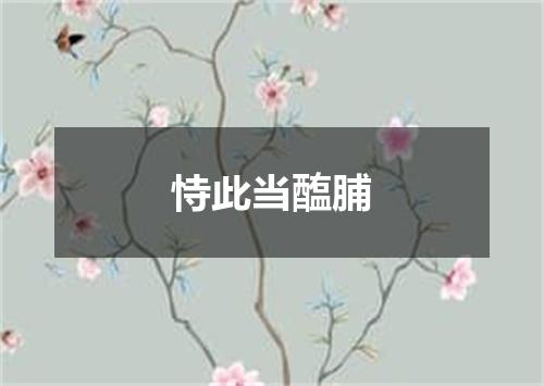 恃此当醢脯