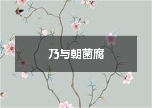 乃与朝菌腐