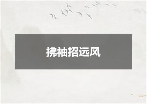 拂袖招远风