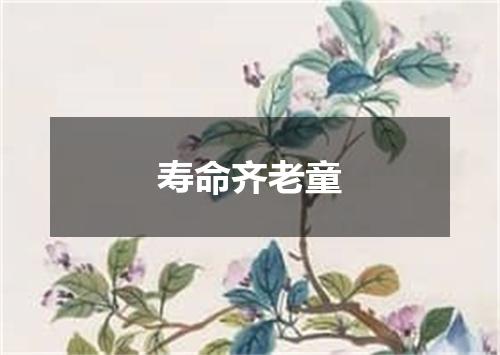 寿命齐老童