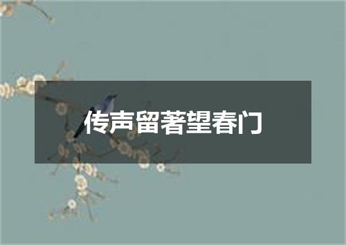 传声留著望春门