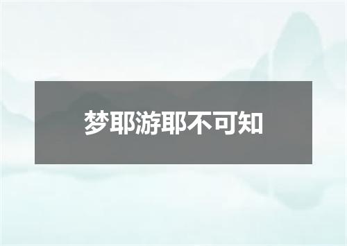 梦耶游耶不可知
