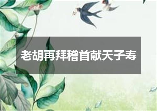 老胡再拜稽首献天子寿