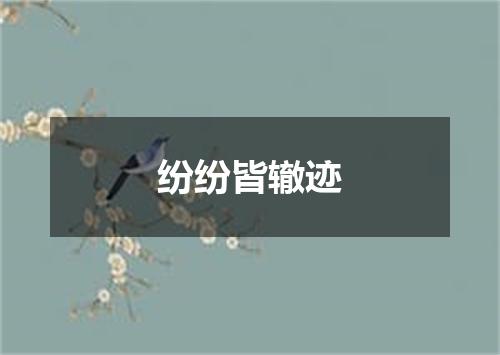 纷纷皆辙迹