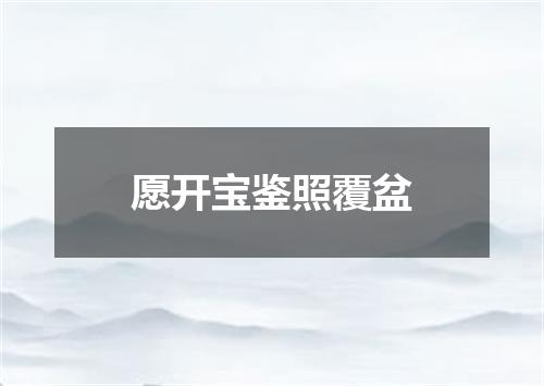 愿开宝鉴照覆盆