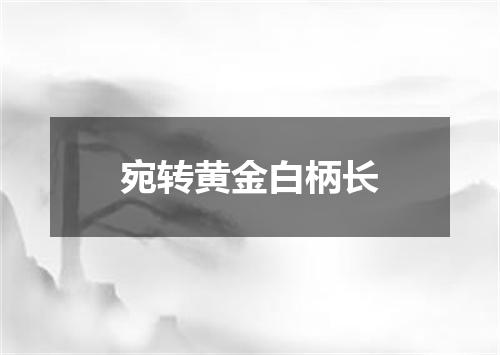 宛转黄金白柄长