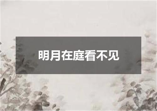 明月在庭看不见