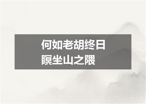 何如老胡终日瞑坐山之隈