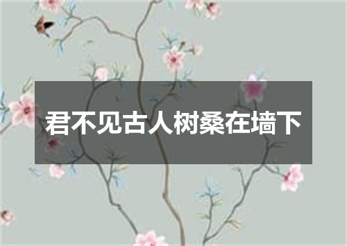 君不见古人树桑在墙下