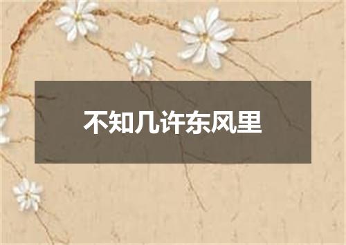 不知几许东风里