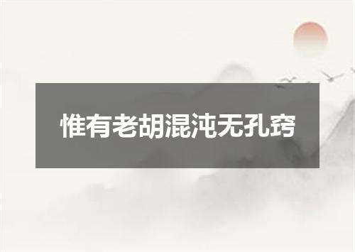 惟有老胡混沌无孔窍