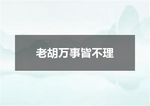 老胡万事皆不理