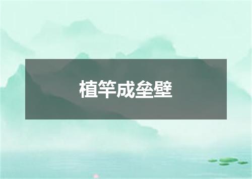 植竿成垒壁