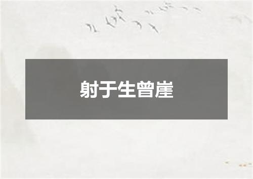 射于生曾崖
