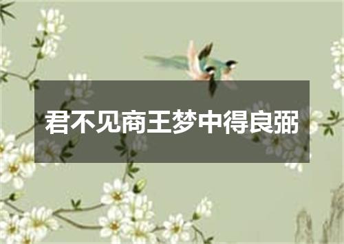 君不见商王梦中得良弼