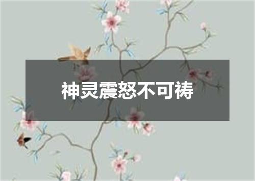 神灵震怒不可祷