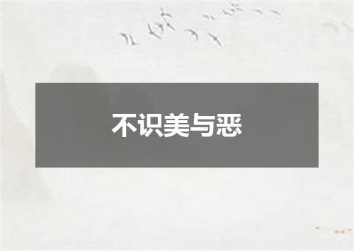 不识美与恶