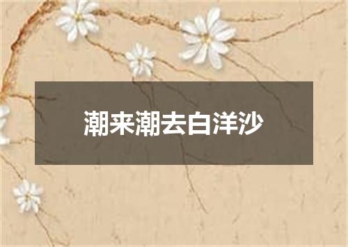 潮来潮去白洋沙