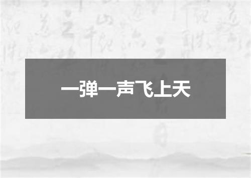 一弹一声飞上天