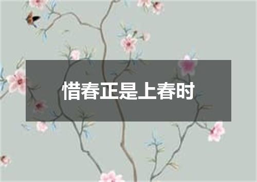惜春正是上春时