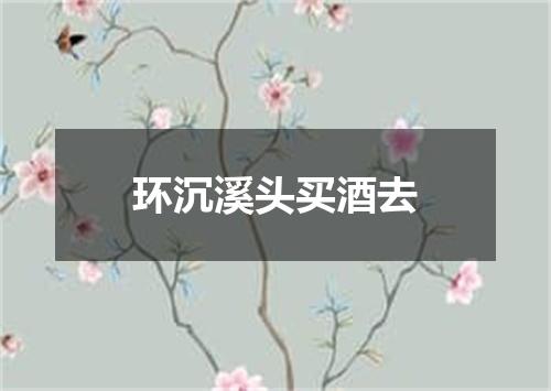 环沉溪头买酒去