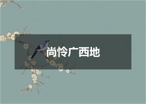 尚怜广西地