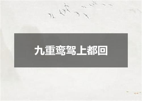 九重鸾驾上都回