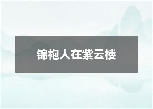 锦袍人在紫云楼