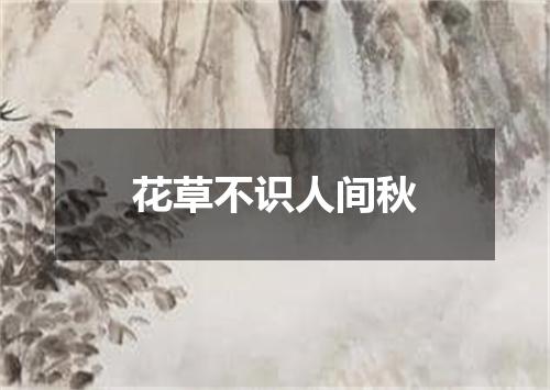 花草不识人间秋