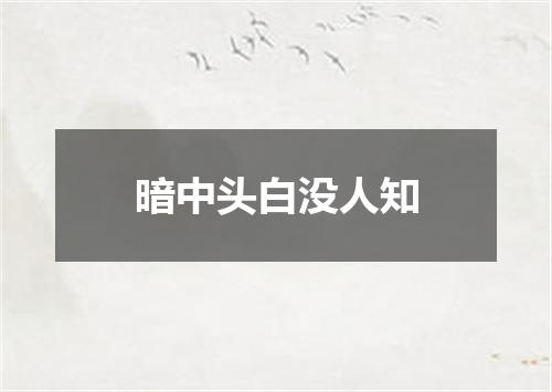 暗中头白没人知