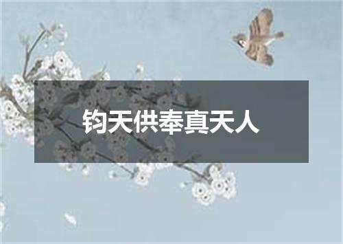 钧天供奉真天人