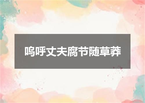 呜呼丈夫腐节随草莽