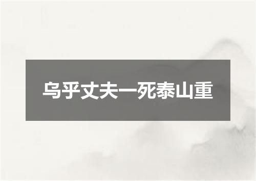 乌乎丈夫一死泰山重
