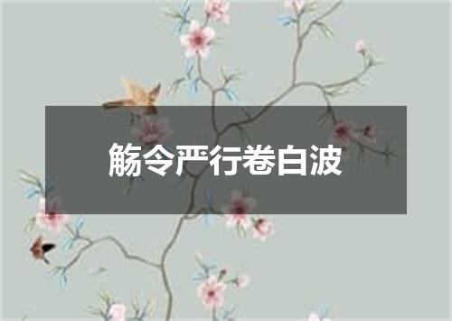 觞令严行卷白波