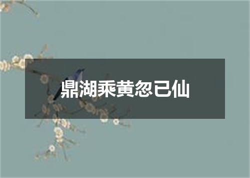鼎湖乘黄忽已仙