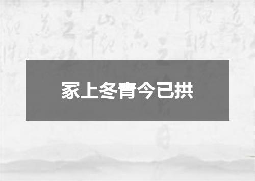 冢上冬青今已拱