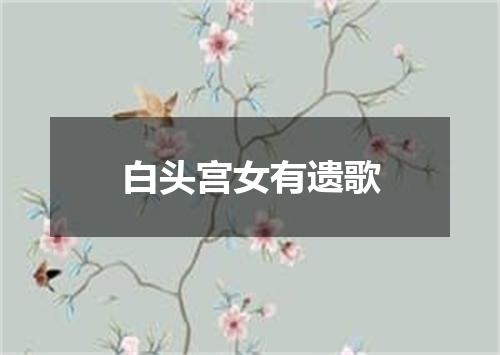 白头宫女有遗歌