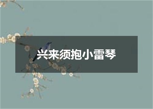 兴来须抱小雷琴