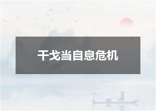 干戈当自息危机