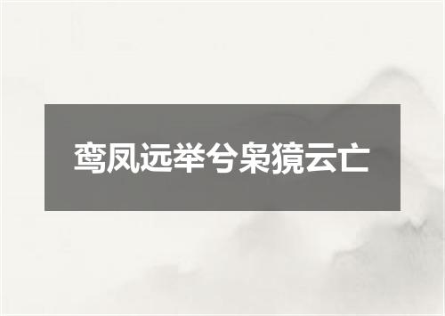 鸾凤远举兮枭獍云亡