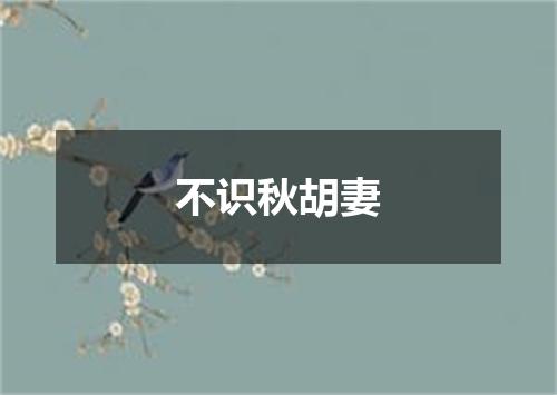 不识秋胡妻