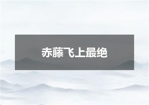 赤藤飞上最绝