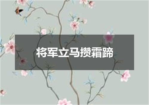 将军立马攒霜蹄