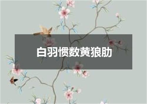 白羽惯数黄狼肋
