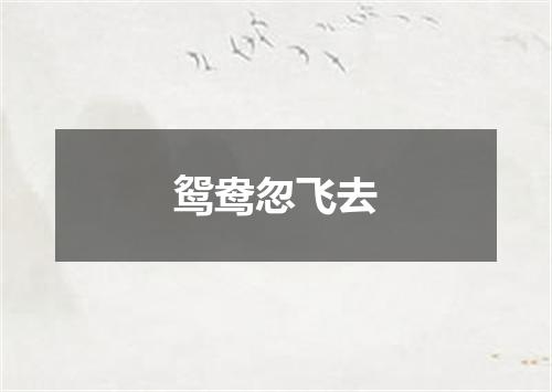 鸳鸯忽飞去