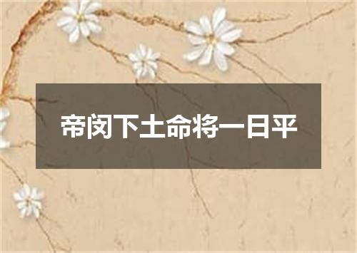 帝闵下土命将一日平