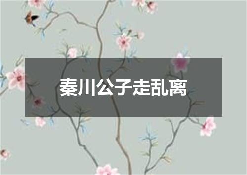 秦川公子走乱离