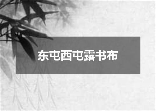 东屯西屯露书布