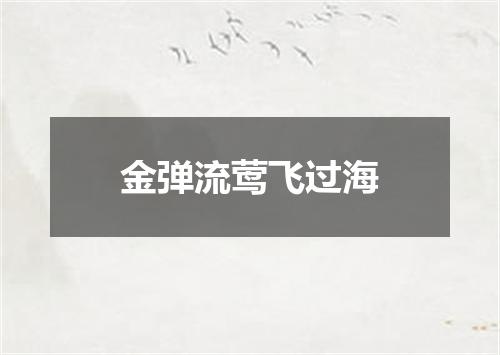金弹流莺飞过海